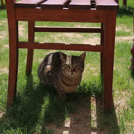 Hotel Atakale Butik Kıyıköy