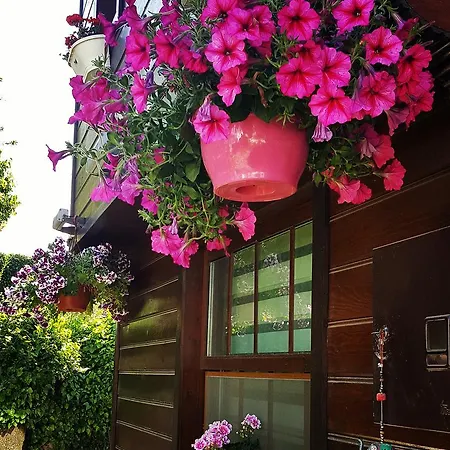 Atakale Butik 3* Kıyıköy