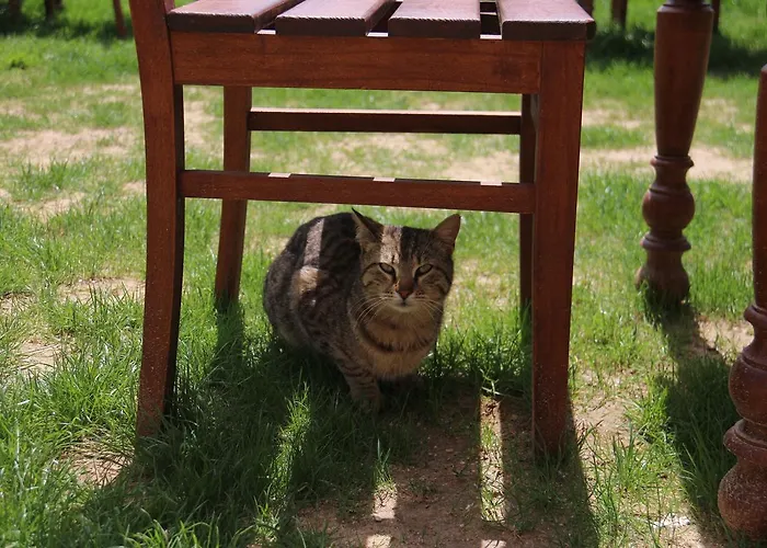 Hotel Atakale Butik Kıyıköy